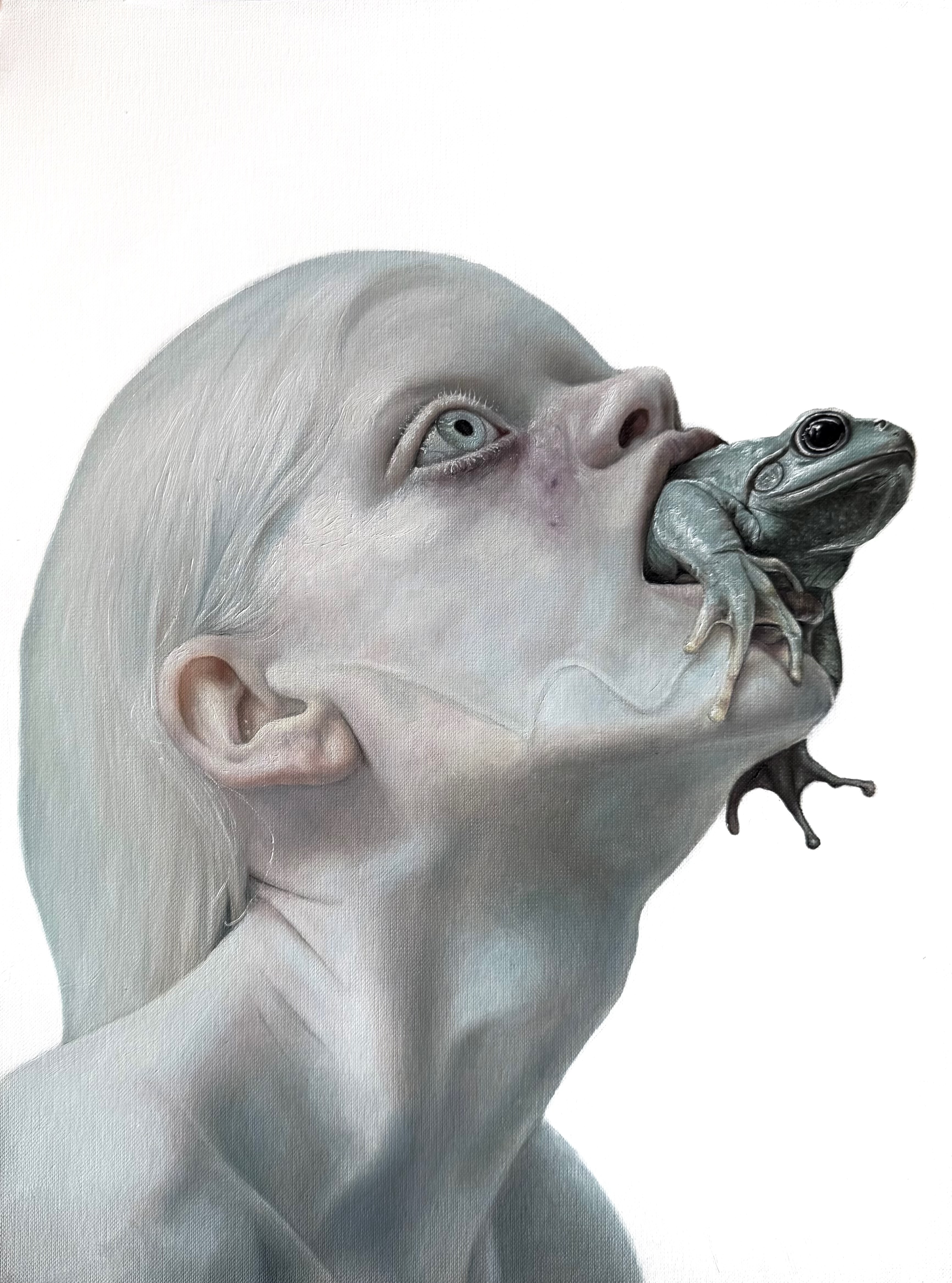 Glass Toad Desktop